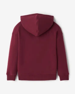 Kids Roots Signature Hoodie -Roots Shop 29030604 066 e