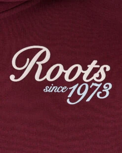 Kids Roots Signature Hoodie -Roots Shop 29030604 066 f