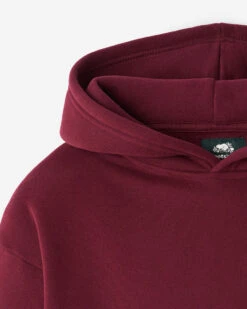 Kids Roots Signature Hoodie -Roots Shop 29030604 066 h