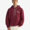 Roots Signature Hoodie -Roots Shop 39040845 066 a