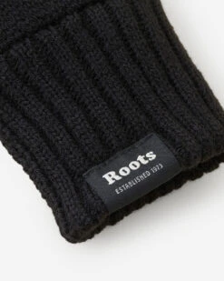 Adult Bracebridge Glove -Roots Shop 42020051 001 c